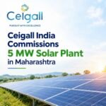Ceigall India Commissions 5 MW Solar Plant in Maharashtra, Site Capacity Reaches 10 MW img 8196